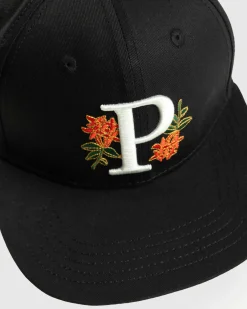 Shop Patta Faya Lobi Libi Sports Cap black