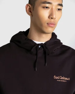 Cheap Sant Ambroeus Logo Hoodie Brown darkbrown