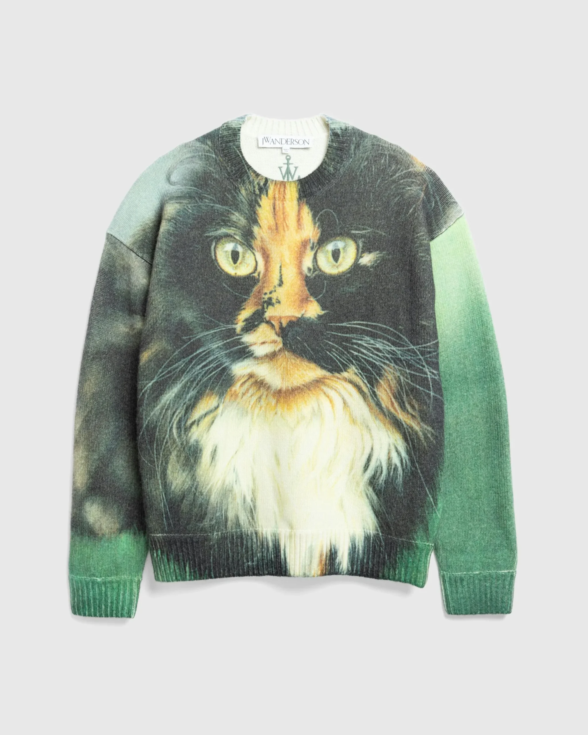 Discount J.W. Anderson Printed Sweater emerald
