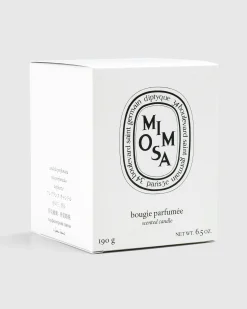 Store Diptyque Standard Candle Mimosa 190g clear